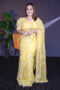 Pure Banarasi kora Organza silk saree with Beautiful Chikankari Embroidery work with blouse piece