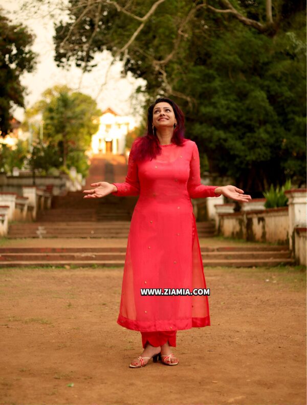 Designer Indo-Western Outfits - Image 2
