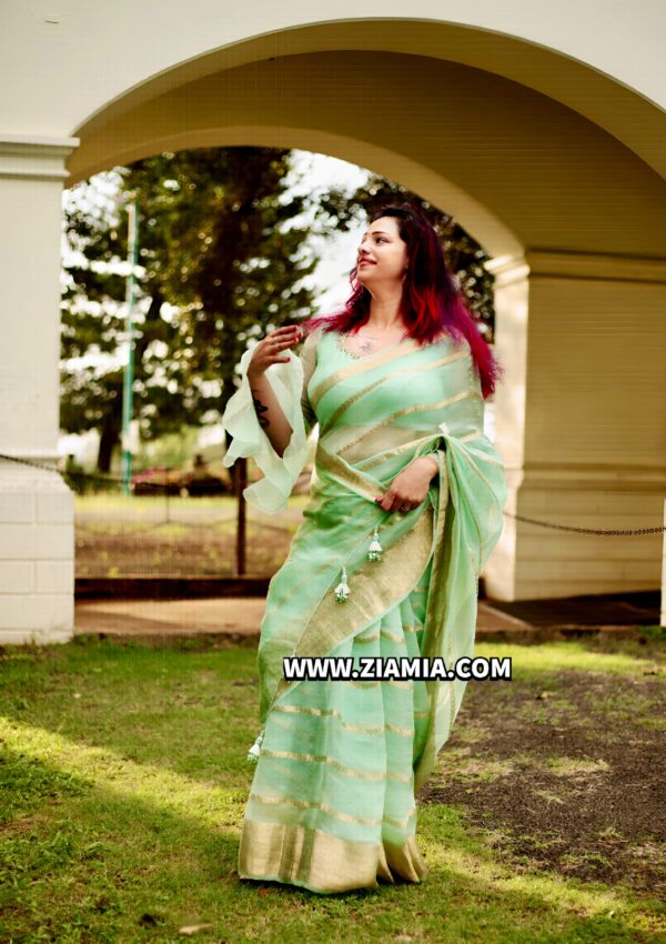 Pure Banarasi Hand woven  Organza Silk Saree with Designer Blouse - Image 2