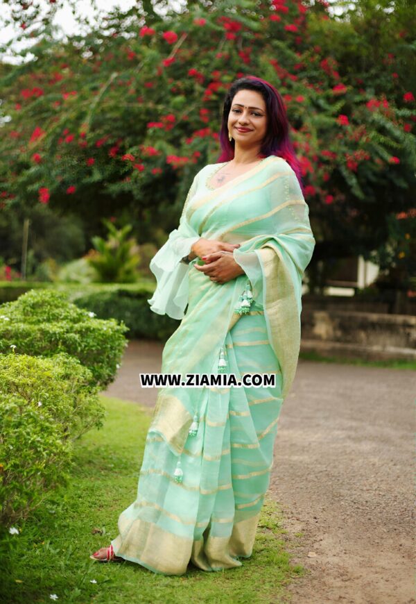 Pure Banarasi Hand woven  Organza Silk Saree with Designer Blouse