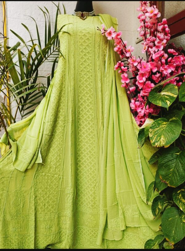 Chikankari Anarkali - Image 11