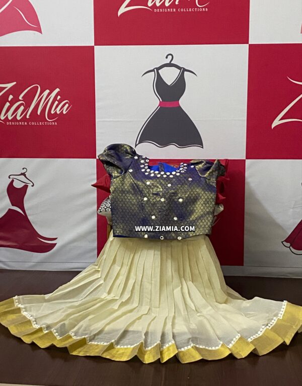 Designer Pavada with Blouse
