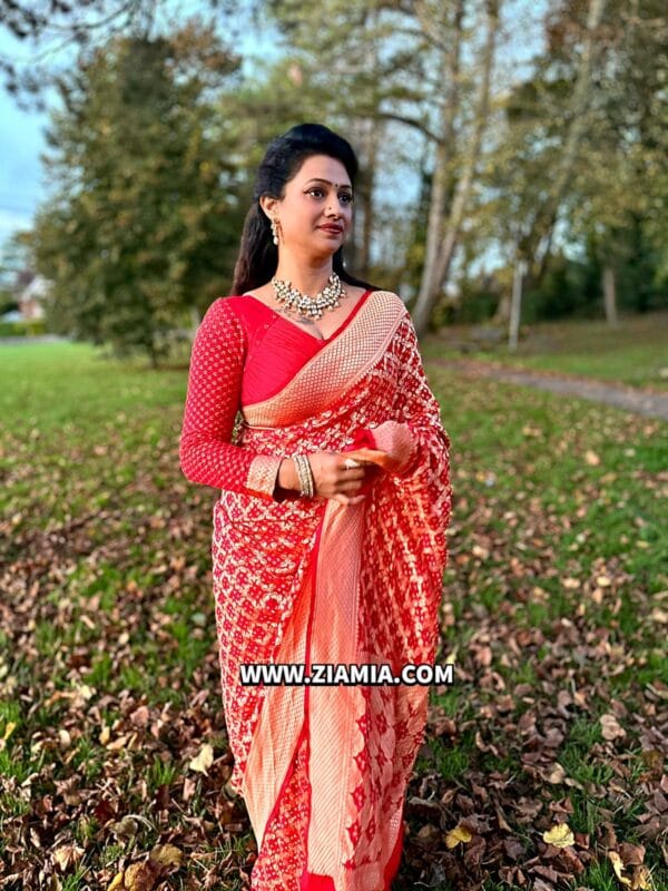 Pure Banarasi Khaddi Georgette Saree - Image 6