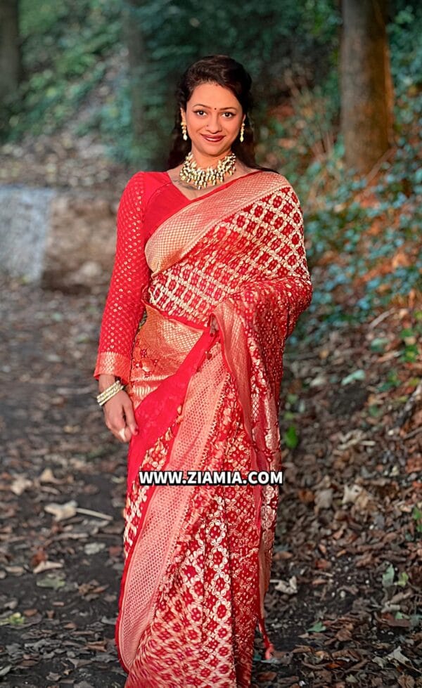 Pure Banarasi Khaddi Georgette Saree