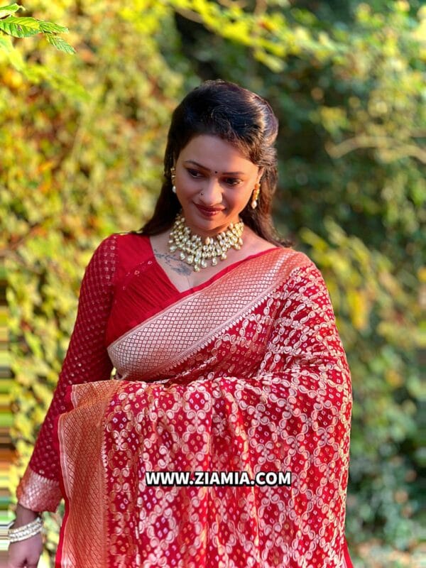 Pure Banarasi Khaddi Georgette Saree - Image 3