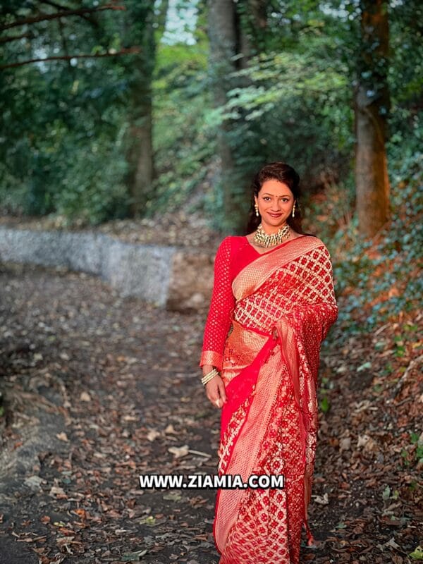 Pure Banarasi Khaddi Georgette Saree - Image 2